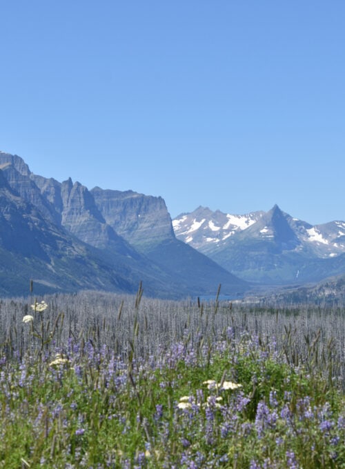 7 activities beyond the borders of Glacier National Park