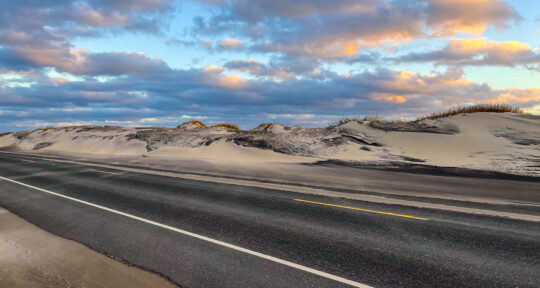 Chasing wildlife: A winter exploration along the Outer Banks Scenic Byway